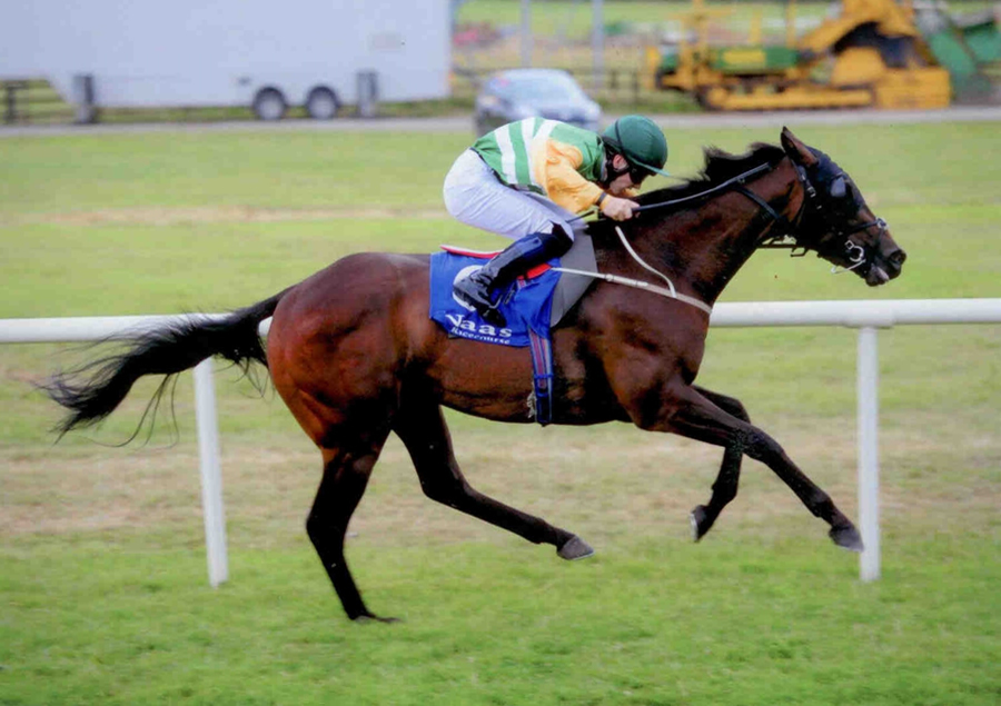 MORDANMIJOBSWORTH - Winning at Naas 24th July 2013